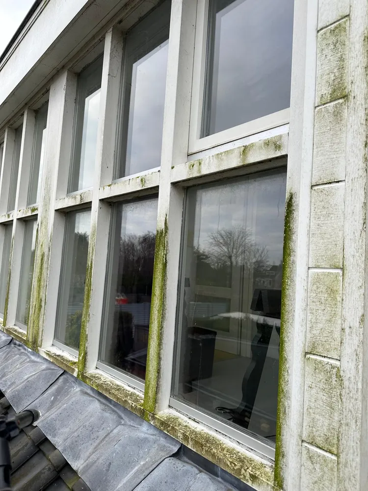 Dakkapel met groene aanslag op kozijnen en beplating, vóór reiniging